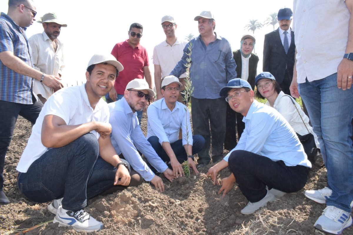 في إطار المبادرة الرئاسية " 100 مليون شجرة": رئيس جامعة بنها يزرع 1000 شتلة زيتون بكلية الزراعة بمشتهر ويشهد حصاد السمك البلطي